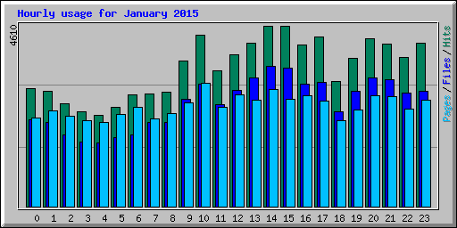 Hourly usage for January 2015